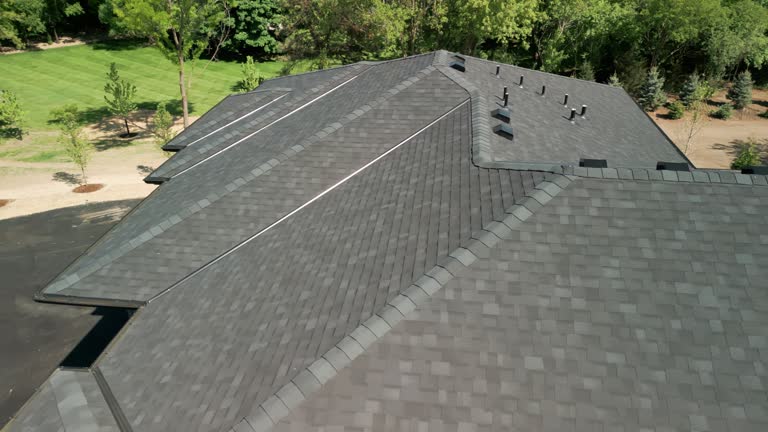 Best Solar Panel Roofing Installation  in Fort Lupton, CO