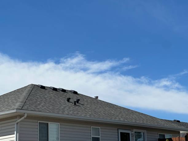 Reliable Fort Lupton, CO Roofing Service Solutions